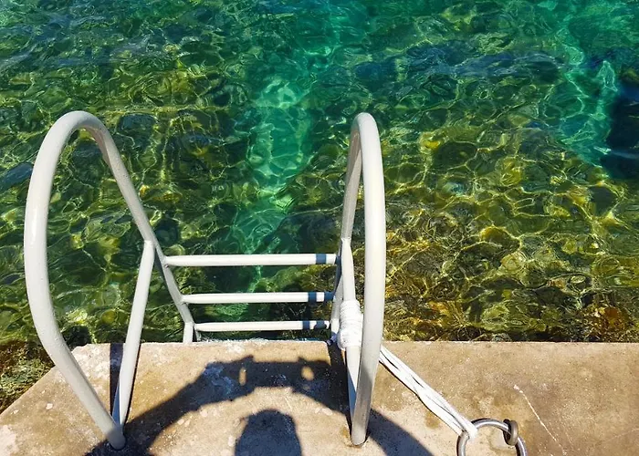 فيلة Dream 1st Row To The Sea