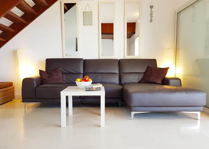 فيلة Dream 1st Row To The Sea