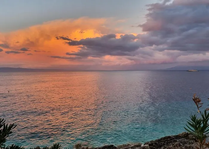 فيلة Dream 1st Row To The Sea بريغراديكا